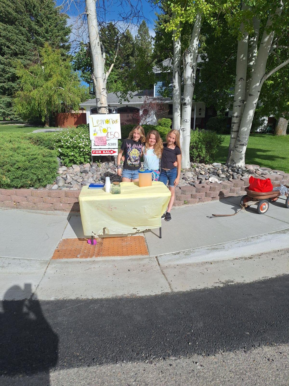 Young girls donate lemonade stand money to local animal shelter - LocalNews8.com