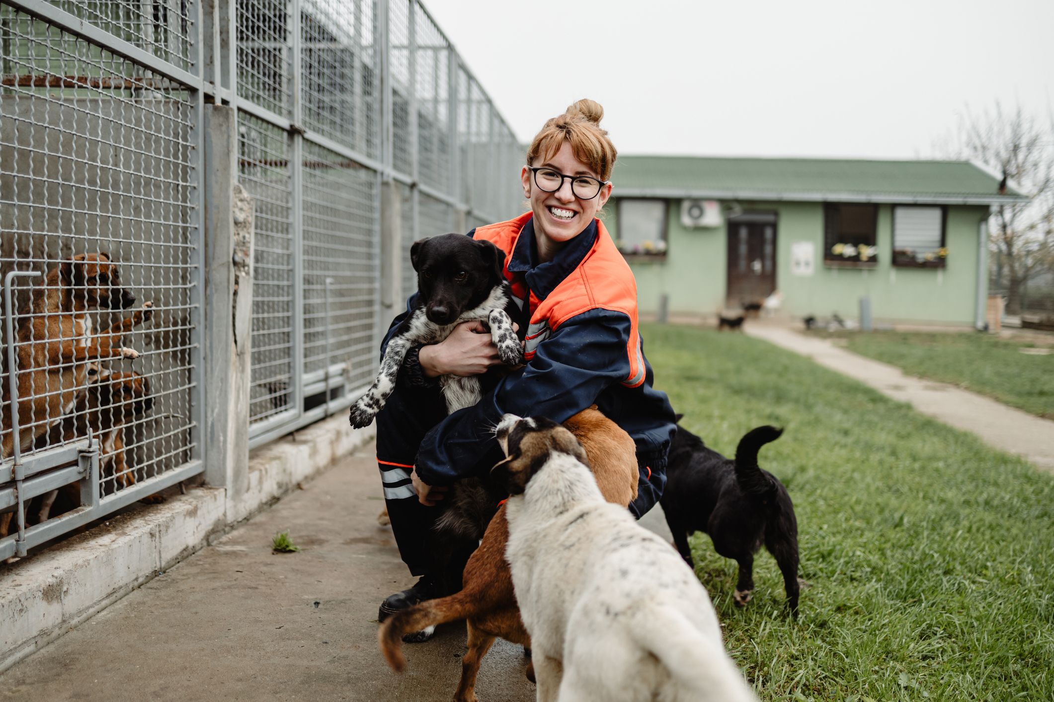 5 Health Benefits of Volunteering at an Animal Rescue