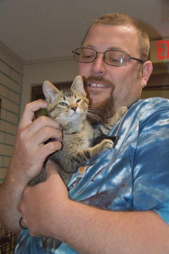 Animal Rescue League at capacity for felines | News, Sports, Jobs