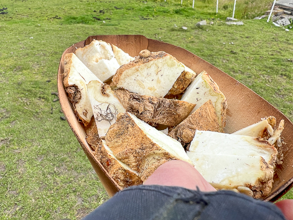 Celeriac? | My Shetland