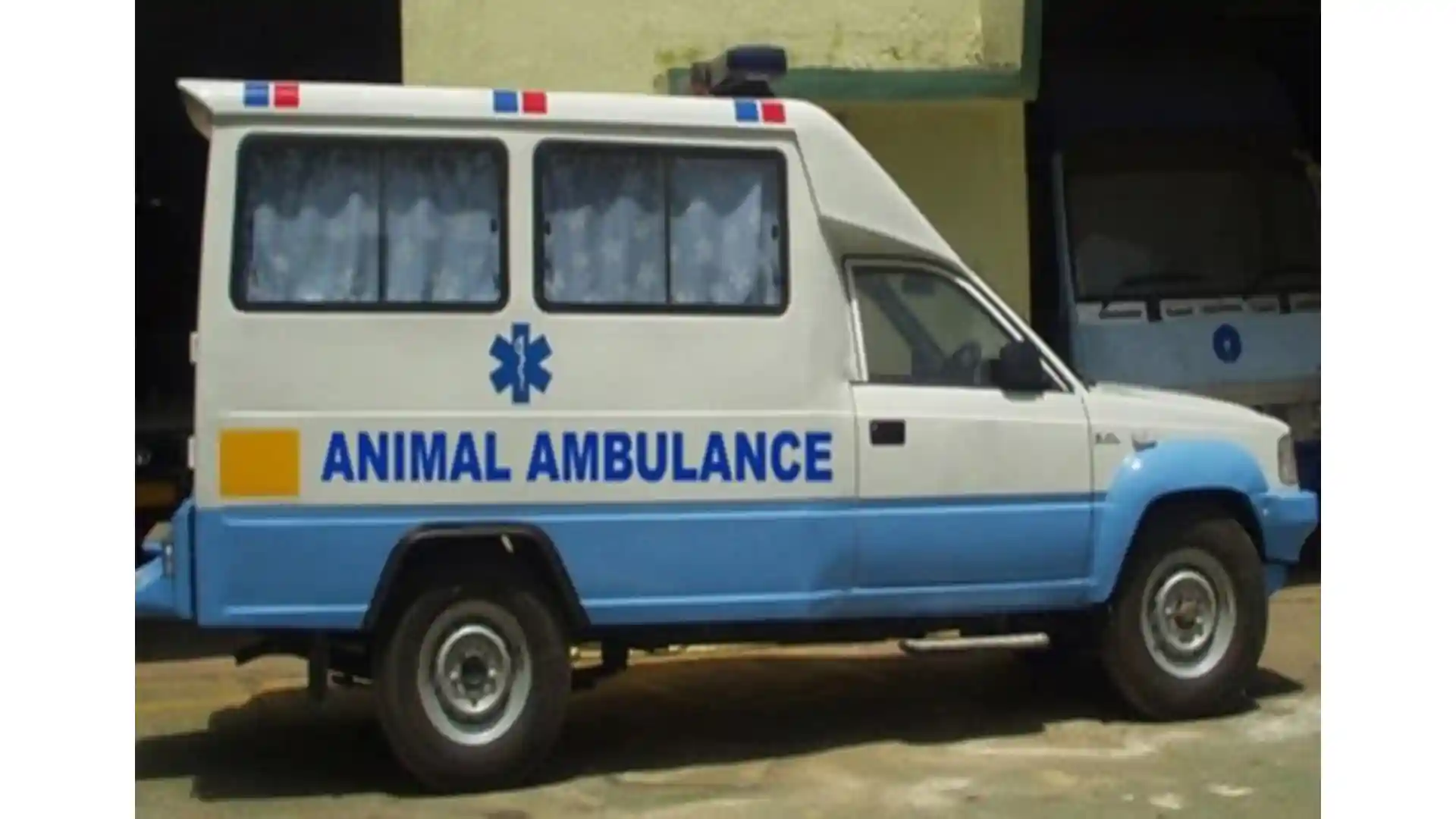 Pune: Drunk animal ambulance driver hits, kills pedestrian
