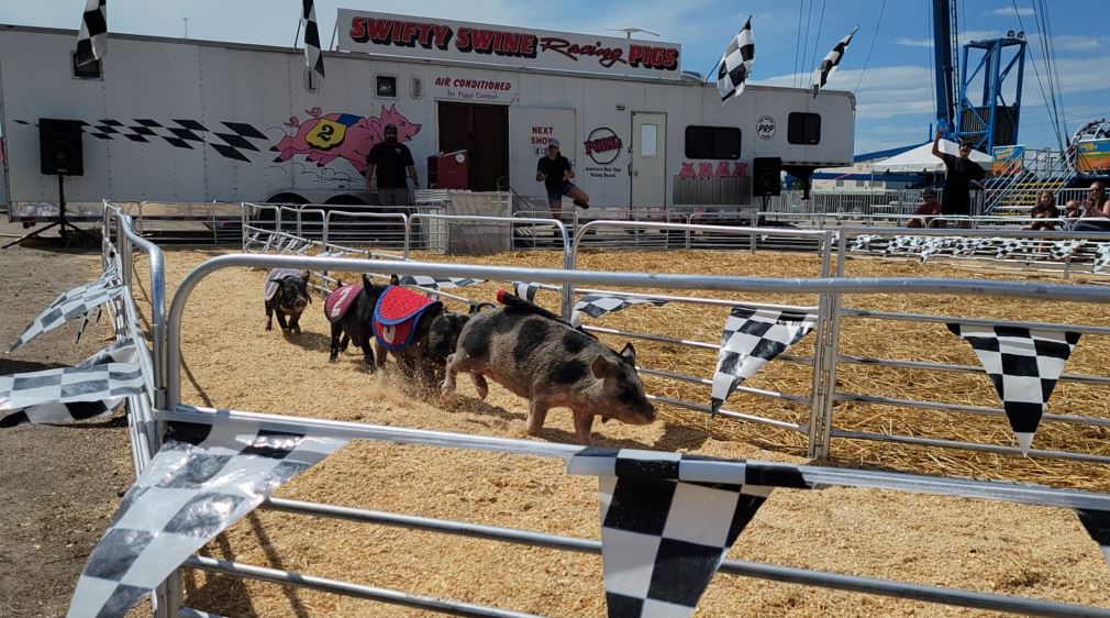 Red River Valley Fair offers up unique animal experiences