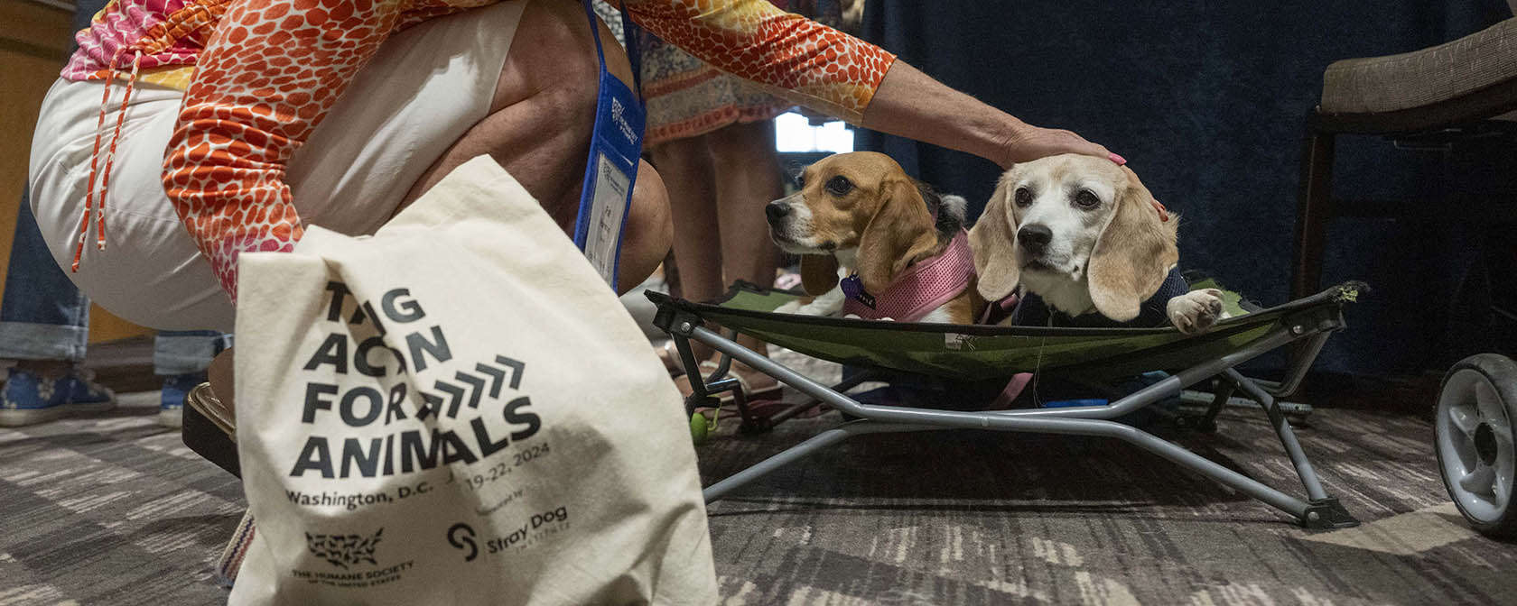 Solidarity at D.C. animal advocacy conference shows the power of our cause