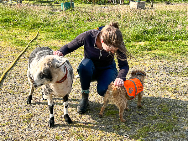 A Lovely Day | My Shetland