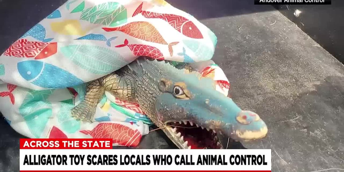 Alligator toy scares locals into calling Animal Control in Andover