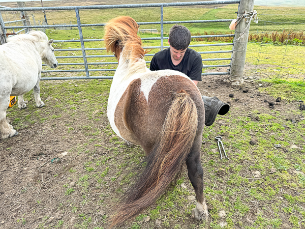 Feets Done | My Shetland