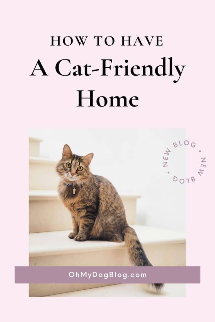 How to Make Your Home Cat-Friendly