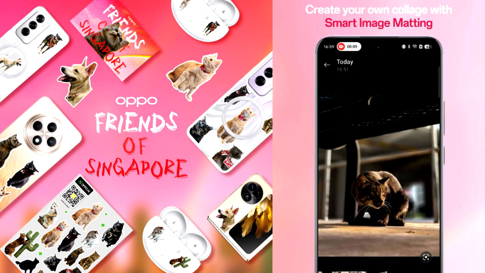 OPPO leverages photo capabilities to encourage societal goodwill to stray animals