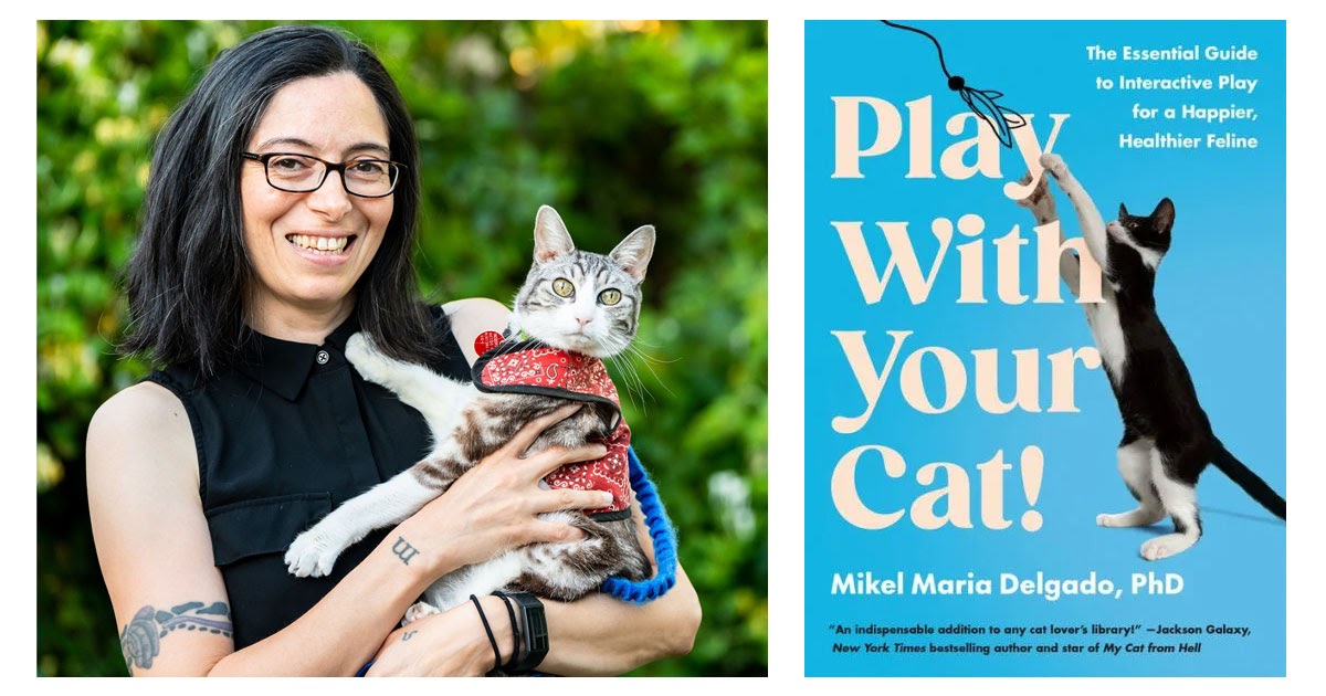 Play With Your Cat! An Interview with Mikel Maria Delgado PhD