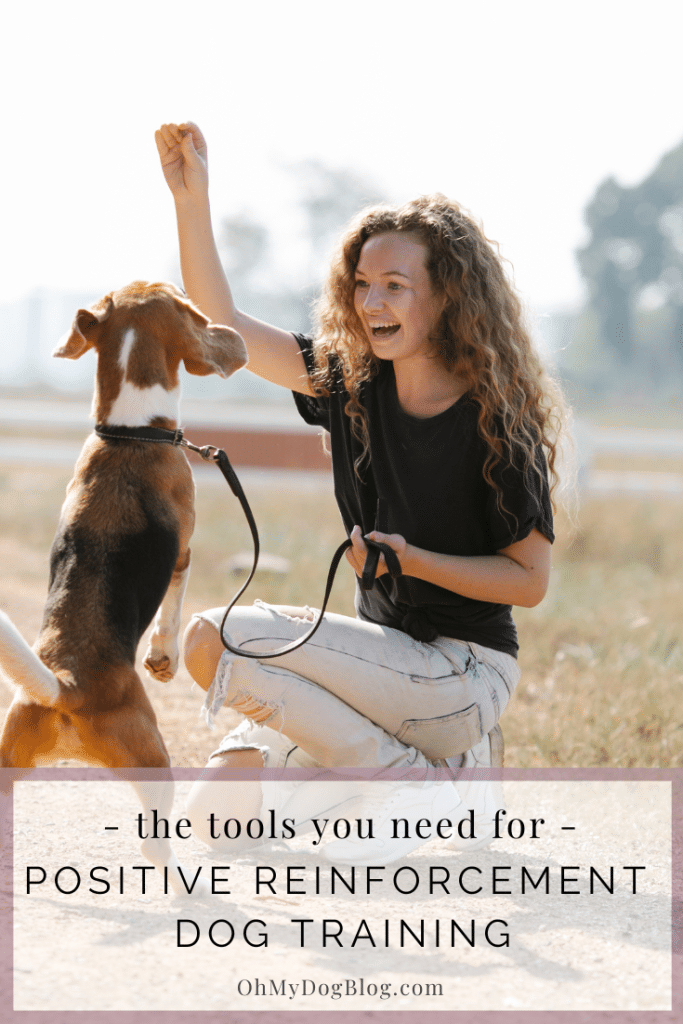 Positive Reinforcement Dog Training Tools