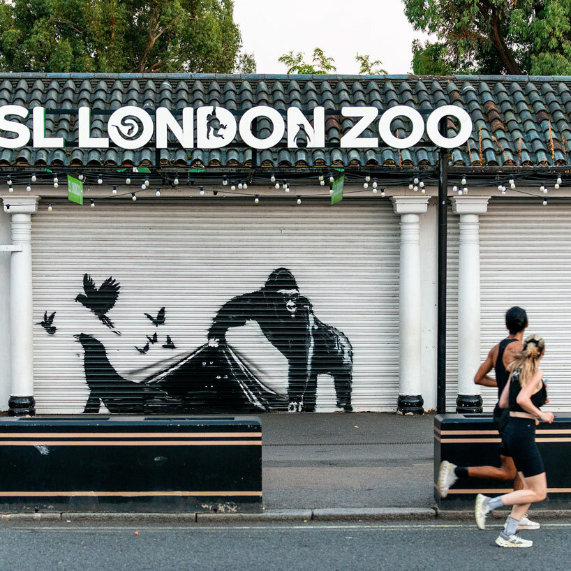 in banksy’s ninth animal mural, a gorilla and a sea lion escape from london zoo