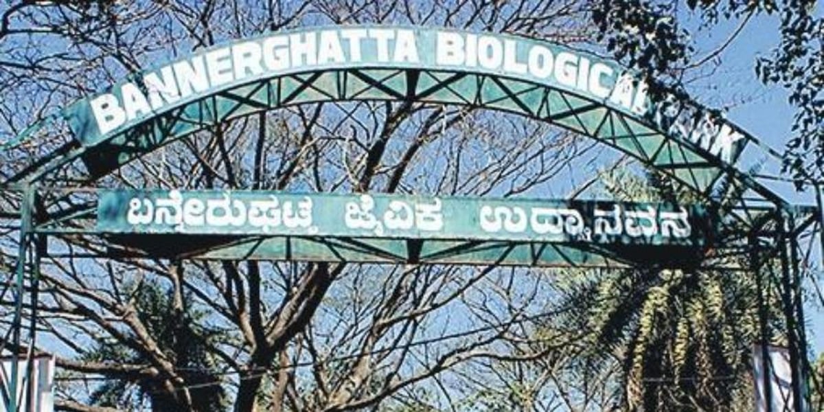 Animal adoption in Bannerghatta Biological Park has remained lukewarm since 2022