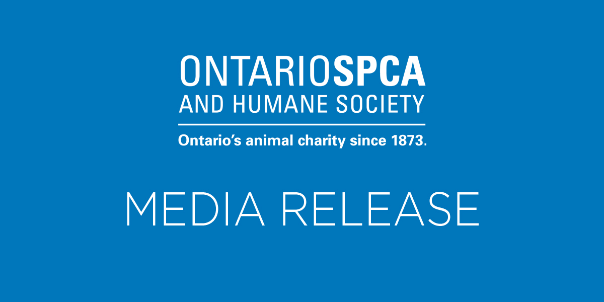 It’s National Dog Day and your new best friend could be waiting at the Ontario SPCA