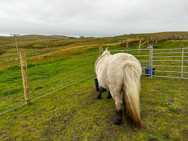 Operation Lets-Make-Winter-Easier | My Shetland