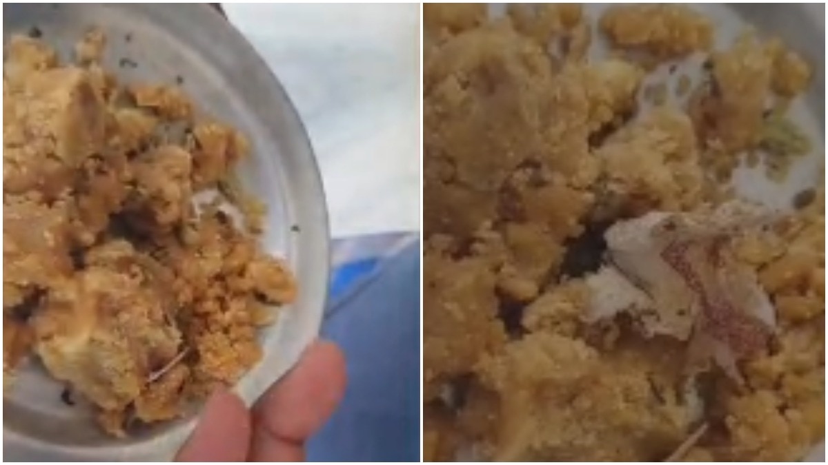 Tirupati laddoos row: Devotee claims tobacco in Tirumala laddu, shares video