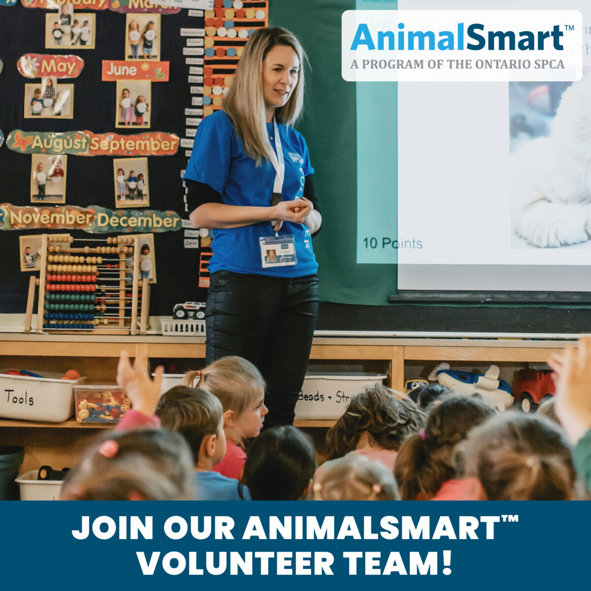 Unleashing Creativity: Fun and educational AnimalSmart presentations for back-to-school