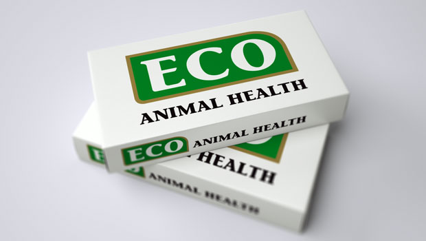 Eco Animal Health warns on FY revenues