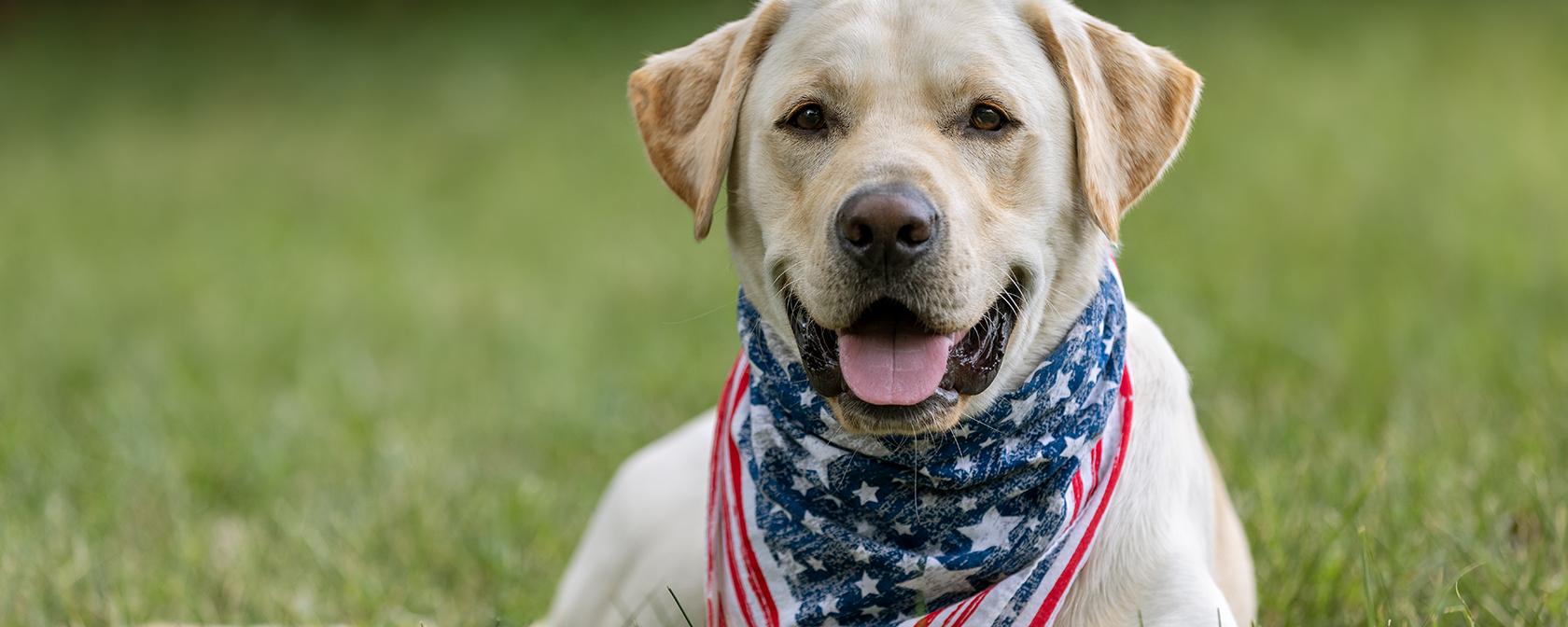 This National Vote Early Day, early birds needn’t wait to cast their votes!